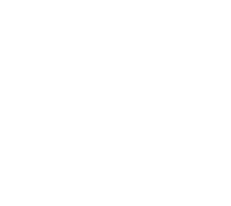 mGt Logo Weiss 40 Gross